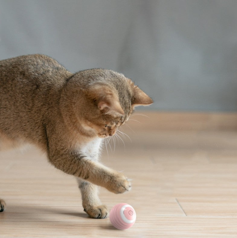 Interactive Smart Ball for Indoor Cats – Rolls & Bounces Automatically